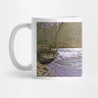 Take A Swim Mug